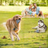Indestructible Dog Chew Toys for Large Dogs | Tough Durable Squeaky Interactive Toys, Teeth Chew Toy for Medium Large