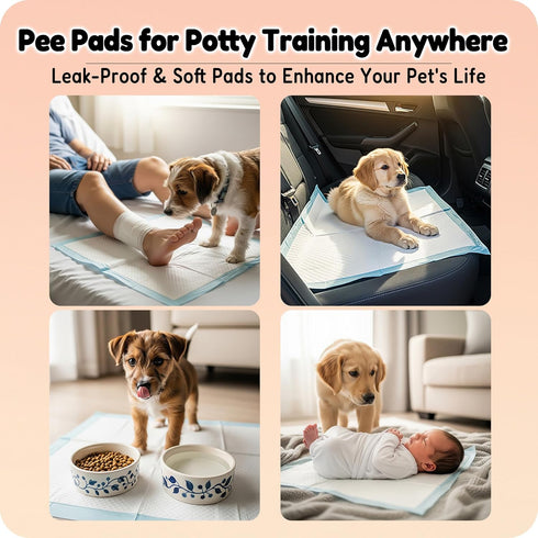 23" 23", 6-Layer 100 Count MoMoCo Pink Puppy Pads x Super Absorbent Dog Pee Pads, Leak-Proof Training Pads for Hardwood