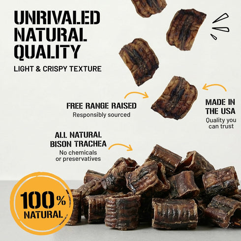 100% 2-3 inch, 8 oz Dog Chits Bison Trachea Dog Treats - Single Ingredient, High Protein, Lower Fat - Glucosamine
