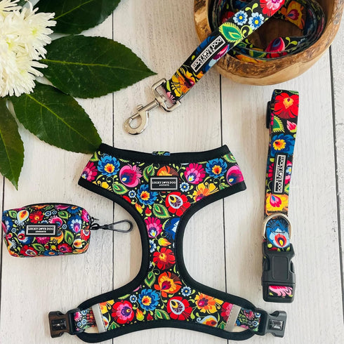 Lucky Love Dog Collars, Vivid Floral Design for Large Female Dogs, Blackbird, Large