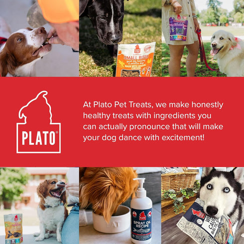PLATO Mini Thinkers Sticks - Natural Dog Treats - Real Meat - Air Dried Chicken Flavor, Made in the USA, 3 ounces