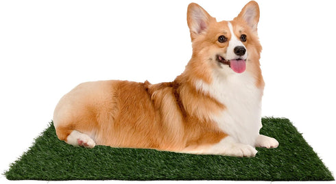 Artificial Grass Puppy Pee Pad for Dogs and Small Pets - Set