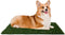 Artificial Grass Puppy Pee Pad for Dogs and Small Pets - Set