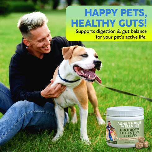 Upset 120 Asher House Wellness Probiotics Digestive Chew for Dogs - Dog Probiotic, Digestive Enzymes for Gut Health