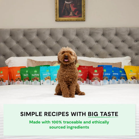 Open Farm Dehydrated Grain-Free Pork Treats | 4.5 Ounces