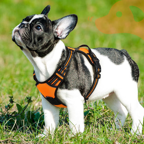 Eagloo Small Dog Harness, No Pull Service Vest with Reflective Strips, Adjustable Comfortable No Choke Pet Harness,