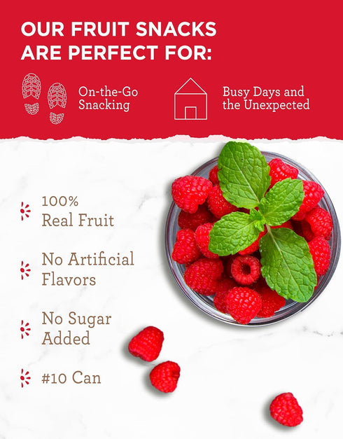 22 READYWISE - Simple Kitchen Freeze Dried Raspberries, Servings, Vegan, Gluten Free, Healthy Snack, Survival Food