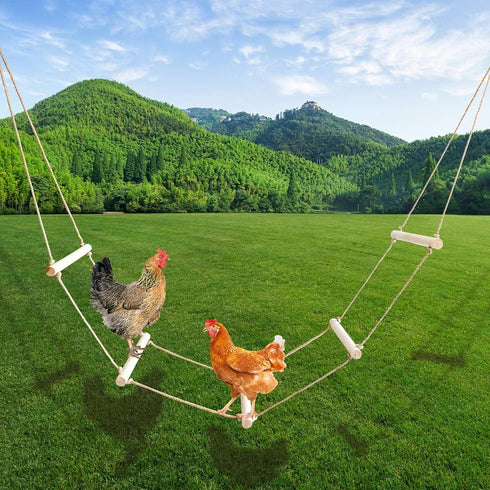 Oooct Extra Long Chicken Perch Stand, Natural Wood Chick Swing Toy for Coop,