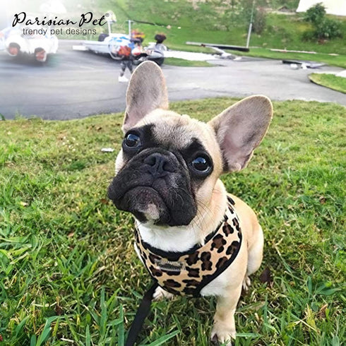 Parisian Pet Adjustable Leopard Print Dog Harness - 100% Mesh Fabric Vest for Medium Sized Dogs and Outdoor Adventures