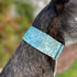 Extra Soft Martingale Dog Collar and Leash Set, 2" Wide for Greyhound Saluki Whippet and Similar Breeds (11"-14" and