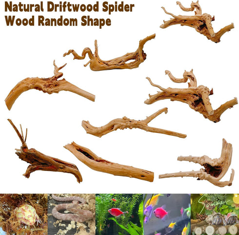 Hamiledyi 6 PCS Natural Spider Wood Driftwood, Assorted Branches for Reptiles and Fish Tank Decoration (6-8 inch)