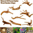 Hamiledyi 6 PCS Natural Spider Wood Driftwood, Assorted Branches for Reptiles and Fish Tank Decoration (6-8 inch)
