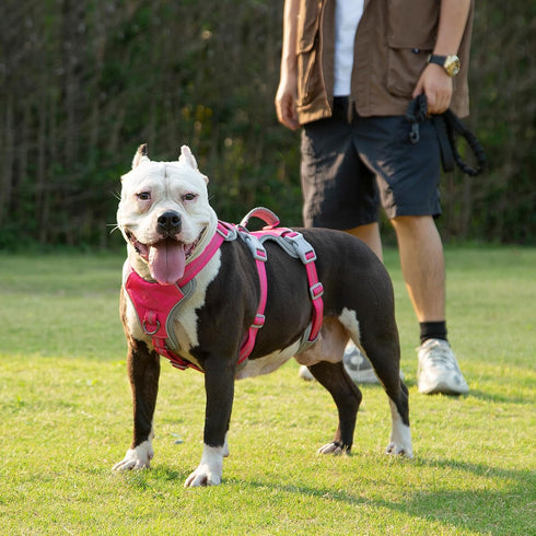 Escape Proof Dog Harness, Reflective with Handle, Breathable Adjustable Vest for Large Dogs Walking and Training