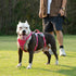 Escape Proof Dog Harness, Reflective with Handle, Breathable Adjustable Vest for Large Dogs Walking and Training