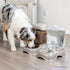 Petmate Pet Cafe Waterer Cat and Dog Water Dispenser, 4 Sizes, 3 GAL, Pearl Tan, Made in USA