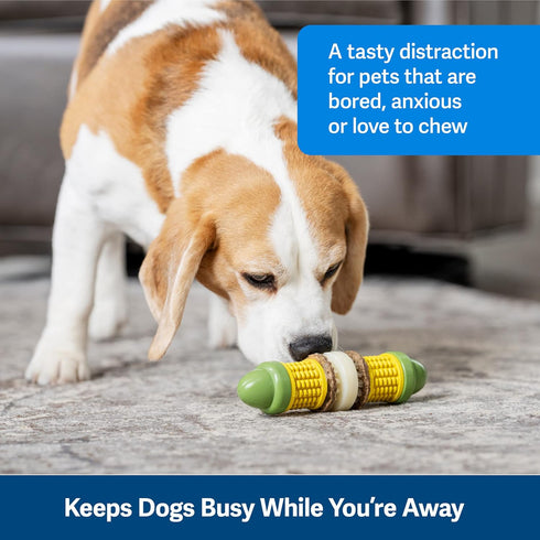 PetSafe Busy Buddy Cravin’ Corncob Dog Toy, BPA Free Rubber Treat Ring Chew Toy for Small to Large Dogs