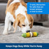 PetSafe Busy Buddy Cravin’ Corncob Dog Toy, BPA Free Rubber Treat Ring Chew Toy for Small to Large Dogs
