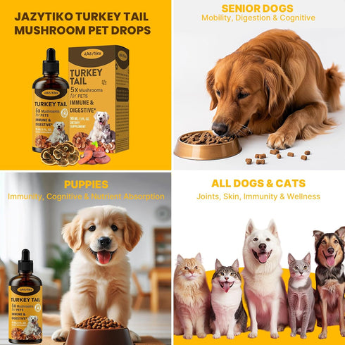 Jazytiko Immune 5X 90 ML Turkey Tail Mushroom for Dogs - for Yeast & Itchy Skin, Turkey Tail Mushroom for & Digestive