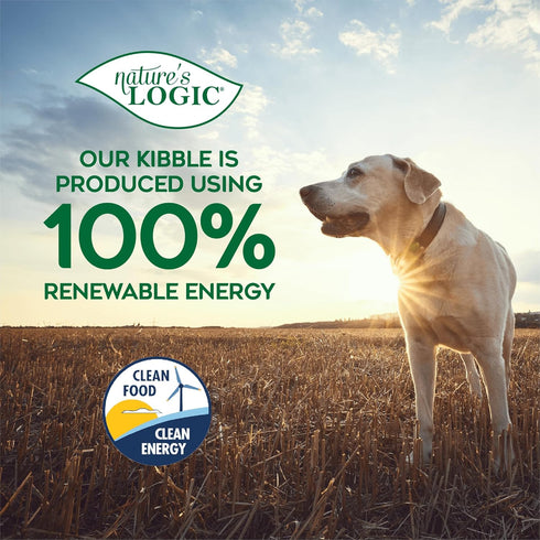 100% 12 lbs Natures Logic Pure Naturals Natural Beef Recipe Synthetic-Free Dry Dog Food