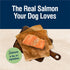 Blue Buffalo True Solutions Perfect Skin & Coat Natural Dry Dog Food, Salmon, 11-lb. Bag