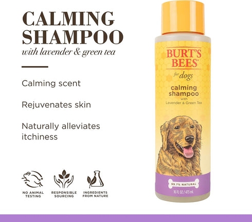 Burt's Bees for Pets Care Plus+ Waterless Shampoo Spray with Coconut Oil, Best Dry Shampoo for Dogs, 12 Oz