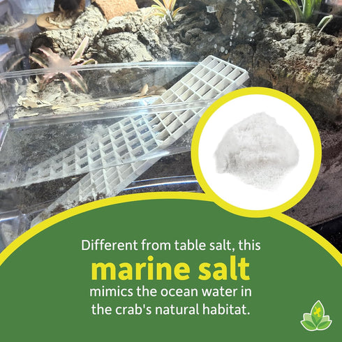 8 Josh's Frogs Hermit Crab Marine Salt and Scooper (Makes gallons of Salt Water)