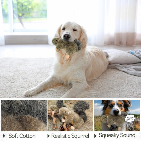 ALL FOR PAWS Interactive Dog Squirrel Plush Squeaky Toy, Perfect Puppy Enrichment Toy, Large