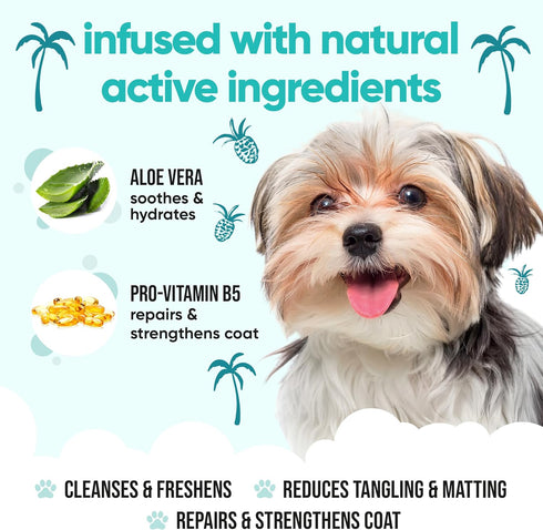 Buddycare B5 (33.8oz) Tropical Dog Shampoo by | Deep Cleansing Shampoo for Dogs | Tropical Scented | with Aloe Vera