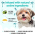 Buddycare B5 (33.8oz) Tropical Dog Shampoo by | Deep Cleansing Shampoo for Dogs | Tropical Scented | with Aloe Vera