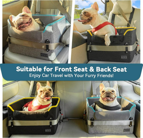 PETSFIT Portable Small Dog Car Seat with Patent Safe Buckles and Clip-On Leash, Suitable for Pets Up to 25lbs (Black)