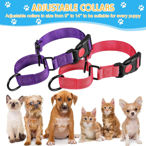 6 Pcs Multicolor Nylon Martingale Dog Collar Adjustable Martingale Collar with Buckle Small Training Collar for Dogs Puppy Collar for Dogs Puppy Training