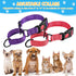 6 Pcs Multicolor Nylon Martingale Dog Collar Adjustable Martingale Collar with Buckle Small Training Collar for Dogs Puppy Collar for Dogs Puppy Training