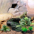 Reptile Artificial Plants, Terrarium Decorations, Aquarium Fish Tank Plant, Amphibian Habitat Accessories (M