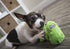 goDog Just For Me Dinos T-Rex Squeaky Plush Dog Toy - Green, Mini, Chew Guard Technology