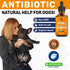 Antibiotic for Dogs, Natural Dog Antibiotics with Beef Flavor, Pet Antibiotic - 2 Oz