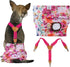 CuteBone Dog Diapers Female 3 Pack Reusable Doggy Diapers with One Suspender