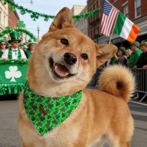 1PC Elegant little tail St Patrick's Dog Bandana, Lucky Clover Washable Pet Scarf Female or Male Square Dog Bib