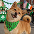 1PC Elegant little tail St Patrick's Dog Bandana, Lucky Clover Washable Pet Scarf Female or Male Square Dog Bib