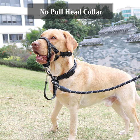 BARKLESS Dog Head Collar, No Pull Head Halter with Soft Padding for Large Medium Small Dogs