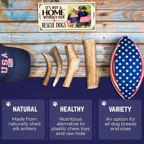 Devil Dog Pet Co. Elk Antlers for Dogs, Small 4"+, 1 Pack, Grade A Long Lasting Chew