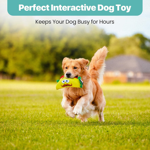 SPOT 6in Fun Food Taco Plush Dog Toy with Squeaker - Interactive Soft, Squeaky Toy for Dogs and Puppies, Keeps Pets