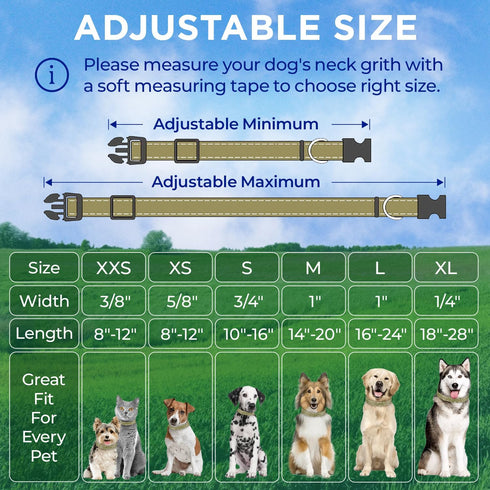 TECEUM Reflective Pet Collar – Basic Nylon Dog Collar – Quick Release Buckle – Olive – M – Fits Small, Medium and Large