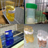 Hamiledyi Automatic Bird Water Dispenser, 4pcs No Overflow Transparent Container for Parrot Feeder & Bird Cage