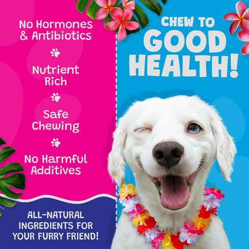(1 Pack) Kalua Pork Rolls - Hawaiian Island Inspired Pork Pets Treats - Rawhide Free Pet Chews Long Lasting No Hide