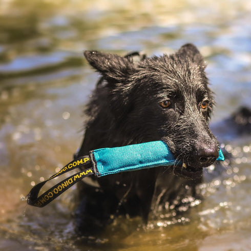 Dingo Dog Tug Toy with Handle, Dog Bite Pillow for Tug of War, Colorful Cotton, Size S, Z30001