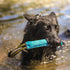Dingo Dog Tug Toy with Handle, Dog Bite Pillow for Tug of War, Colorful Cotton, Size S, Z30001