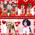 24pcs Valentine's Day Dog Collar Bow Ties Set, Adjustable Holiday Valentines Day Dog Grooming Bow Ties and Dog Neck Ties, Basic Small Dog Bow Ties for Festival Dog Collar Accessories