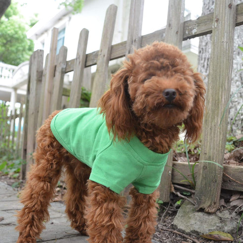 Lovelonglong Pet Clothing - Basic Blank T-Shirt Tee Shirts for Small Dogs (Green, Size S)