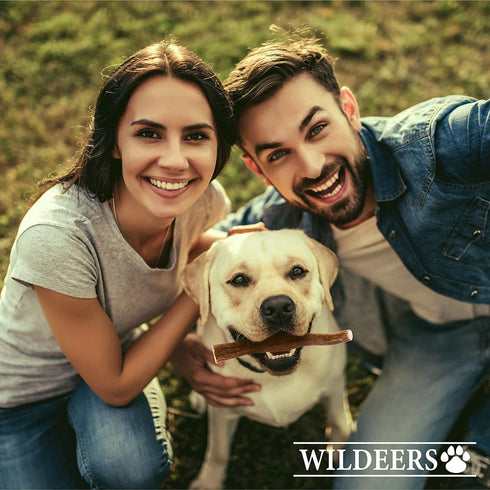 Wildeers Large Deer Antlers for Dogs - Premium Chew Treats, Made in USA, Naturally Shed, Grade A, 7-9 in, 2 Pieces