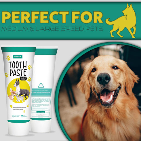 H&H Pets Dog Toothbrushes and Toothpaste Set, Professional Finger Dental Brush for Cats & Dogs, Small Size, 4 Count,